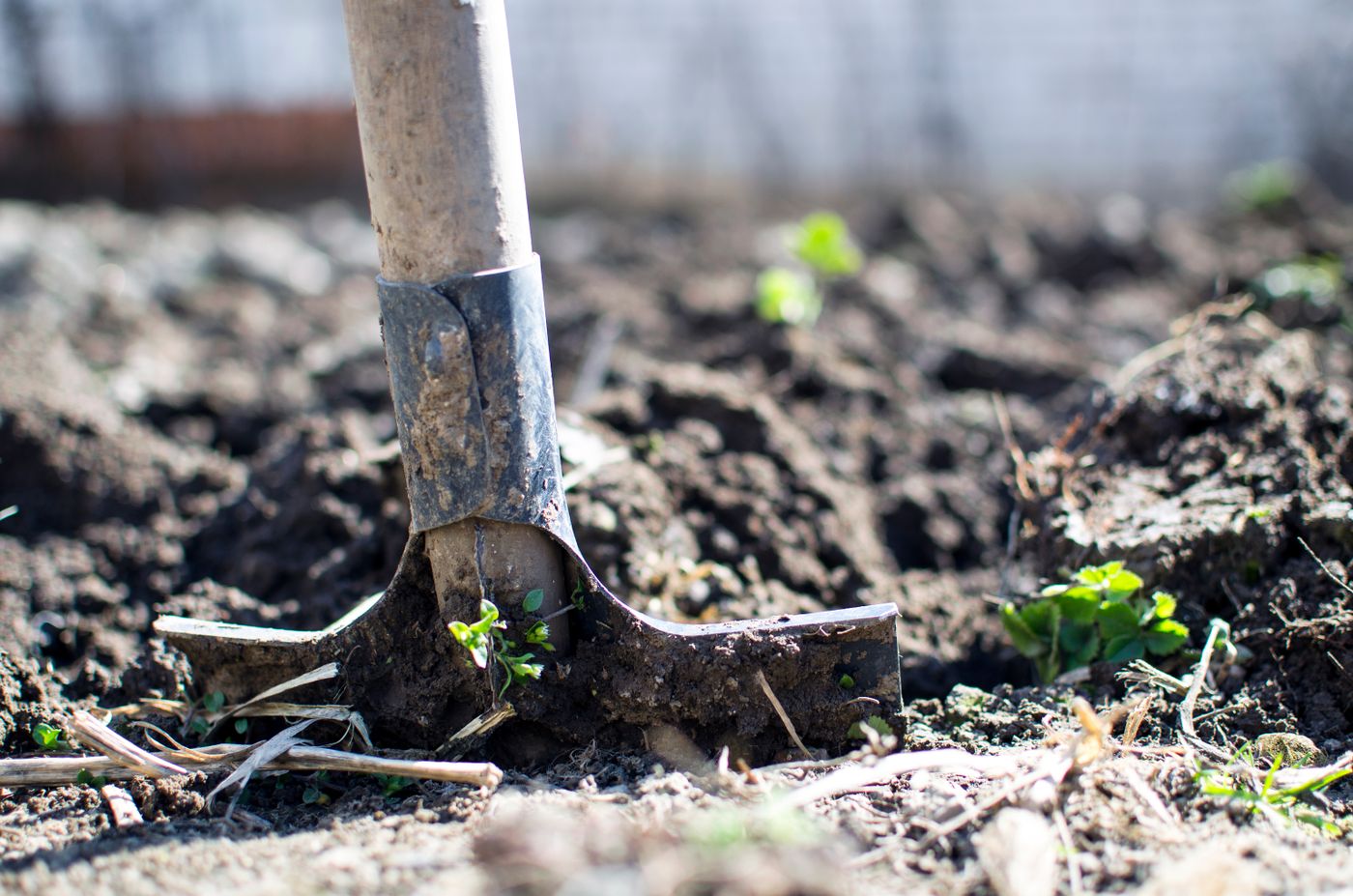 Mulch installation and garden bed prep in Orange County, NY Mulch installation and garden bed prep in Orange County, NY